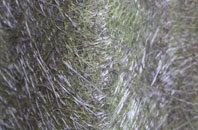 Morfydd fibreglass roof work